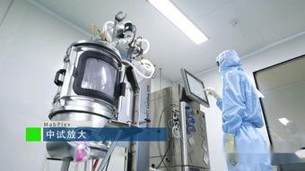 奇米视频777国产,揭秘热门国产影视作品背后的故事