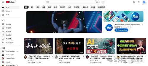 国内搬运视频网站国产